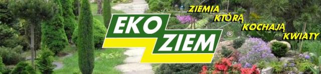 Ekoziem